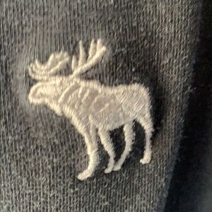 Meet your Posher, Payton